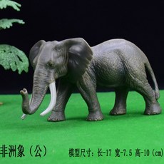 코끼리없는동물원