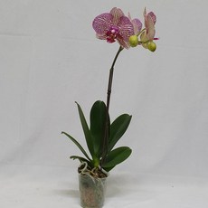 2ec9238fbf0d2b2c5e5886419266b3c25db484373dfb751ccfdca857c7f6.jpg