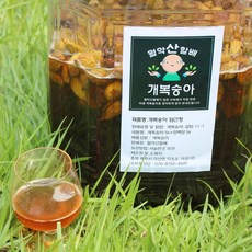 [청년] 자연산개복숭아 제천 엑기스 개복숭아 담근청 10kg