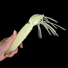 큰한치
