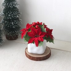 포인세티아화분