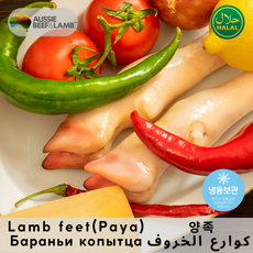 Frozen Halal Lamb Trotters -Feet PAYA Perfect for Soups and Stews 냉동 할랄 양족발 - 육수 및 찜 요리에 적합, 1개, 1kg