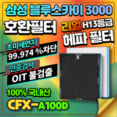 삼성블루스카이3000