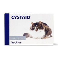 뱃플러스 시스테이드 플러스 고양이 영양보조제, 유리너리+결석, 1개