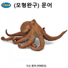 문어과학책