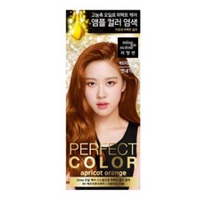 미장센퍼펙트컬러