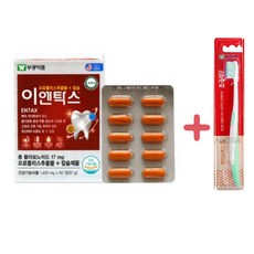 부광약품 이엔탁스 1450mg 60정 120정 프로폴리스 칼슘 잇몸영양제 2개월 4개월 시린이전용 잇몸 전용 칫솔 증정, 이엔탁스 60정(2개월)