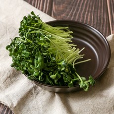 다소곳 무순 50g (팩)