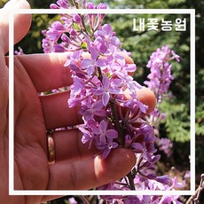 ab3004dfaacd23bd623b86002f01ea1efcb8d5cbc426a3d796ddcd789857.jpg