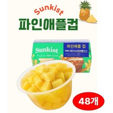 온니위드 프리미엄 파인컵과일, 48개, 113g