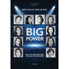 빅 파워(Big Power):대한민국 여성 CEO 10인의 성공 로드맵
