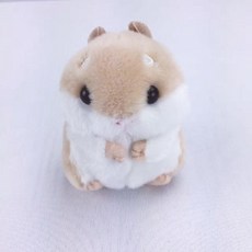 어뮤즈인형