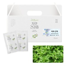 국산 박하잎 민트차 건강즙 진액 엑기스 100ml 30포, 100ml 30봉, 30개 - 박하추출물