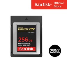 샌디스크 익스트림 프로 CFexpress 카드 Type B SDCFE 256GB