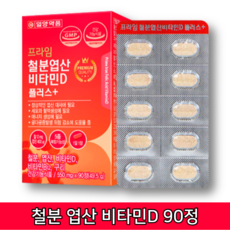 여성 임산부 출산후 임신중기 임신중 어린이 생리 월경 철분제 엽산 철분부족 비타민d 효능