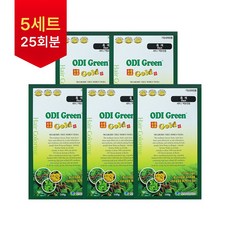 오디그린골드 정품 염색약(5세트 25회분 대용량100g), 흑색, 5개