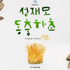 성재모 현미 동충하초 생초, 8개