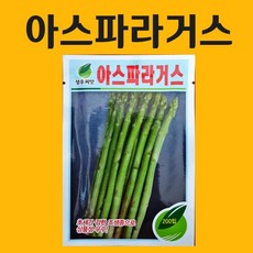 농사친구 아스파라거스 씨앗 200립 제농 씨 종자 모종 항암배추 히카마 고추모종 공심채, 1봉