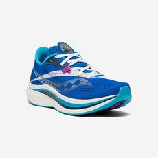 써코니엔돌핀프로2