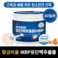 mbp메타정