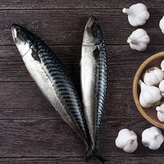 노르웨이 고등어살(프리미엄) 1Kg 5~6팩 특대, 1개, 2kg