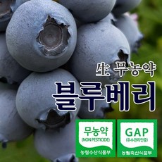 더조은팜 블루베리 생과 국내산 무농약 당일수확 농장직송, 1box, 무농약 블루베리 상 500g