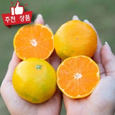 농협상품 새콤달콤 감귤 제주 하우스감귤 로얄과, 1박스, 2kg(1kg x 2팩)