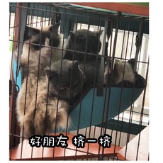 그물그네놀이