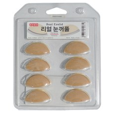 겨울눈도감