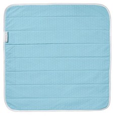 이케아렉스베고니아