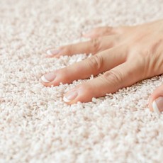 소프트워셔블200×290