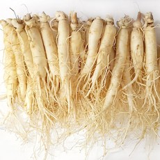 [A 취득 농부의 인삼] 인삼 수삼 6-5년근 난발 파삼 세척 삼계탕 선물 산지직송 홍삼액 정성가득