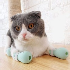 [오너클랜] 고양이 할큄 방지 실리콘 부츠, 1개, 상세 설명 참조