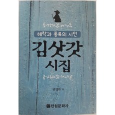 김삿갓 시집:해학과 풍류의 시인, 전원문화사, 권영한