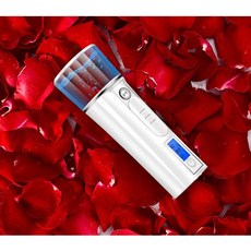 전동미스트 피부수분보충 마사지 휴대용미스트, 화이트