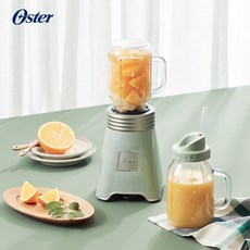오스터믹서기