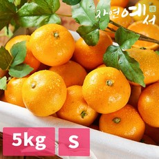 2cf4eb05b6d970acc0a80872980764a544b353e5c9b5f28da821dec5c973.jpg