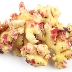 지투지샵 세척생강 1kg, 단품, 1개