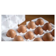 c37e585c07e5899d185212ff54cc5c3fd5e4191cc34f48490d9e7196c188.jpg