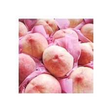 양구두레박수박