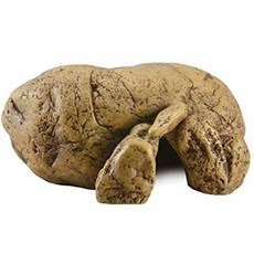 도마뱀 은신처 엑소테라 바위 중 게코 파충류 은신처, 1개