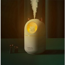 humidifier