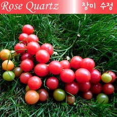 1bb77515edf528a0cd84df9d2a2bac386a66b67dcec20d731ab580f8af75.jpg