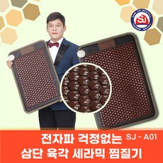 휴슬로진동마사지온열매트