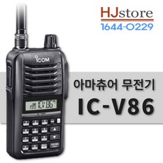 ic-v86