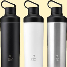 캐리보틀 리프 텀블러, 블랙, 530ml, 1개