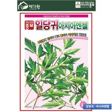 아시아종묘 당귀씨앗 - 일당귀 아시아엔젤 3g(null), 3g