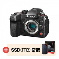Panasonic 파나소닉 루믹스 DC-GH6 미러리스 카메라 바디킷 (+SSD 1테라 증정) [국내정품판매처]