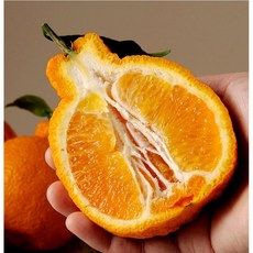 2f9c3ae65ffbb1308b0e4bfaf15b11406b0db36fd8e3e95cdfd3c9f76f18.jpg