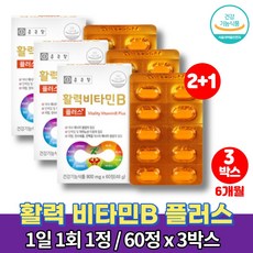 엔지겐비플러스비타민